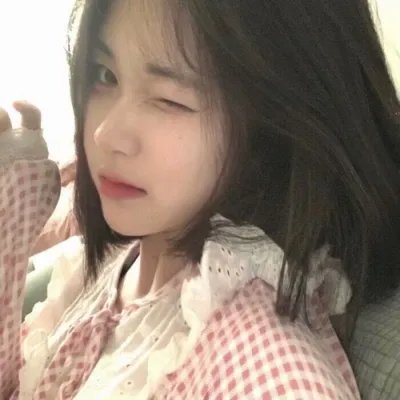 完美伴侣2025