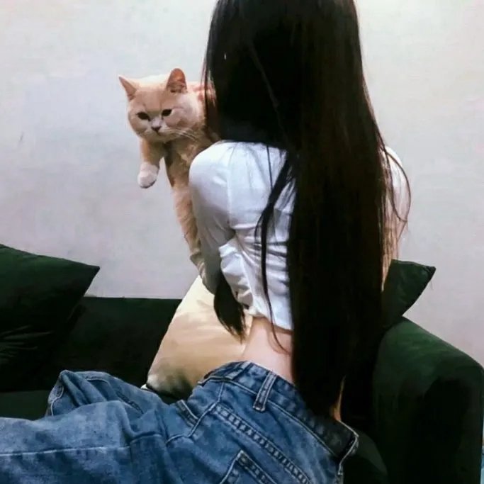 替天行盗